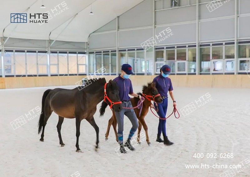 馬術館篷房高效統(tǒng)籌，打造校園馬術新地標